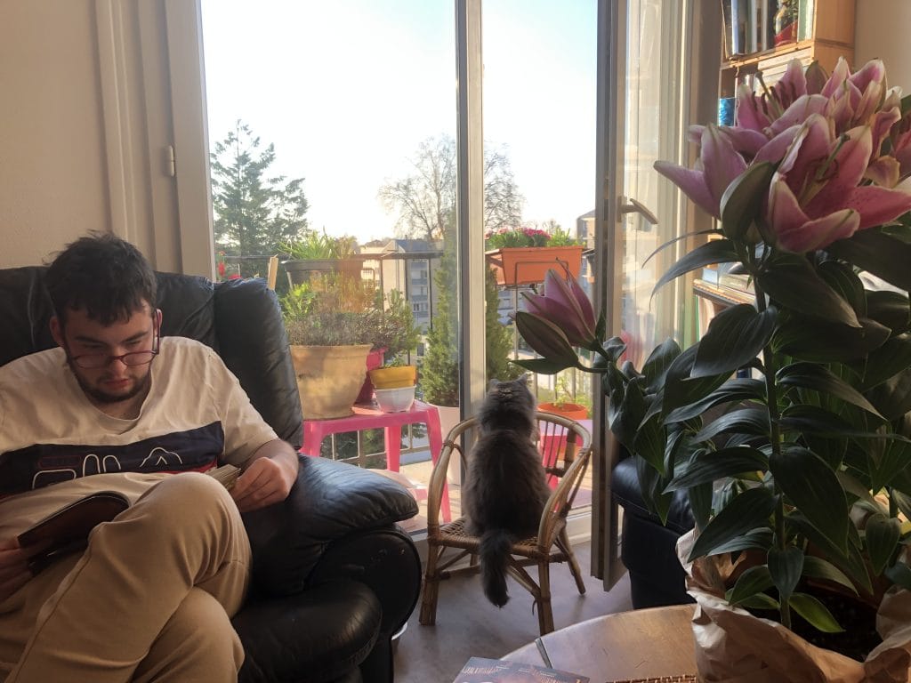 Image de profil de Dimitri - Blooming Pets - Petsitting et garde d'animaux à domicile