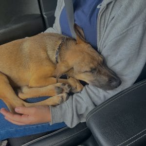 Images de profil de Elisa - Blooming Pets - Petsitting et garde d'animaux Ă domicile