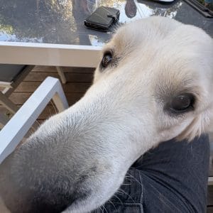 Images de profil de Mathilde - Blooming Pets - Petsitting et garde d'animaux à domicile