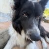Images de profil de Mathilde - Blooming Pets - Petsitting et garde d'animaux à domicile