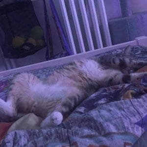 Images de profil de Erika - Blooming Pets - Petsitting et garde d'animaux à domicile