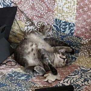 Images de profil de Erika - Blooming Pets - Petsitting et garde d'animaux à domicile