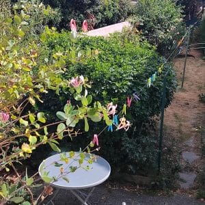 Images de profil de Fanny - Blooming Pets - Petsitting et garde d'animaux à domicile