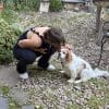 Images de profil de Zoe - Blooming Pets - Petsitting et garde d'animaux à domicile