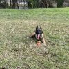 Images de profil de Charline - Blooming Pets - Petsitting et garde d'animaux à domicile
