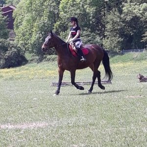 Images de profil de Charline - Blooming Pets - Petsitting et garde d'animaux à domicile