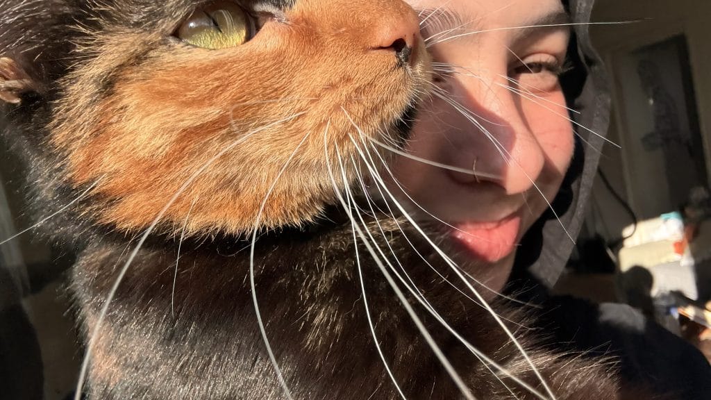 Image de profil de Anissa - Blooming Pets - Petsitting et garde d'animaux à domicile