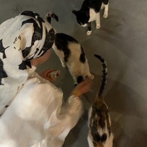 Images de profil de Anissa - Blooming Pets - Petsitting et garde d'animaux à domicile