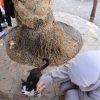 Images de profil de Anissa - Blooming Pets - Petsitting et garde d'animaux à domicile