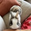 Images de profil de Elodie - Blooming Pets - Petsitting et garde d'animaux à domicile
