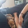 Images de profil de Catheline - Blooming Pets - Petsitting et garde d'animaux à domicile