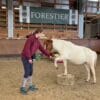 Images de profil de Catheline - Blooming Pets - Petsitting et garde d'animaux à domicile