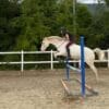 Images de profil de Catheline - Blooming Pets - Petsitting et garde d'animaux à domicile
