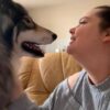 Images de profil de Alyséa - Blooming Pets - Petsitting et garde d'animaux à domicile