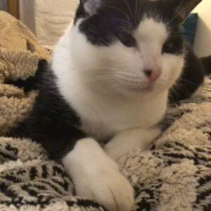 Images de profil de Clara - Blooming Pets - Petsitting et garde d'animaux à domicile