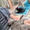Images de profil de Thibault - Blooming Pets - Petsitting et garde d'animaux à domicile