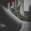 Images de profil de Thibault - Blooming Pets - Petsitting et garde d'animaux à domicile