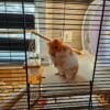 Images de profil de EMILIE - Blooming Pets - Petsitting et garde d'animaux à domicile