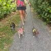 Images de profil de EMILIE - Blooming Pets - Petsitting et garde d'animaux à domicile