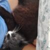 Images de profil de Audrey - Blooming Pets - Petsitting et garde d'animaux à domicile