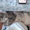 Images de profil de Audrey - Blooming Pets - Petsitting et garde d'animaux à domicile