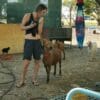Images de profil de Andréa - Blooming Pets - Petsitting et garde d'animaux à domicile