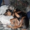Images de profil de Sandrine - Blooming Pets - Petsitting et garde d'animaux à domicile