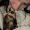 Images de profil de Sandrine - Blooming Pets - Petsitting et garde d'animaux à domicile