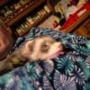 Images de profil de Sandrine - Blooming Pets - Petsitting et garde d'animaux à domicile