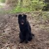Images de profil de Léna - Blooming Pets - Petsitting et garde d'animaux à domicile
