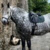 Images de profil de Manon - Blooming Pets - Petsitting et garde d'animaux à domicile