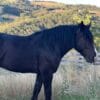 Images de profil de Manon - Blooming Pets - Petsitting et garde d'animaux à domicile