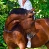 Images de profil de CAROLINE - Blooming Pets - Petsitting et garde d'animaux à domicile