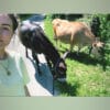 Images de profil de Marie - Blooming Pets - Petsitting et garde d'animaux à domicile