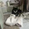 Images de profil de Marie - Blooming Pets - Petsitting et garde d'animaux à domicile