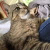 Images de profil de Marie - Blooming Pets - Petsitting et garde d'animaux à domicile