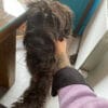 Images de profil de Marie - Blooming Pets - Petsitting et garde d'animaux à domicile