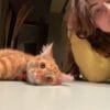 Images de profil de Marie - Blooming Pets - Petsitting et garde d'animaux à domicile