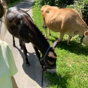 Image de profil de Marie - Blooming Pets - Petsitting et garde d'animaux à domicile