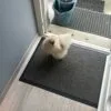 Images de profil de Lilia - Blooming Pets - Petsitting et garde d'animaux Ă domicile