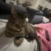Images de profil de mailice - Blooming Pets - Petsitting et garde d'animaux à domicile