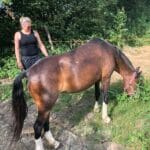 Praline   Origine Non Constatée (ONC) Femelle - Garde d'animaux à domicile
