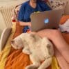 Images de profil de So - Blooming Pets - Petsitting et garde d'animaux à domicile