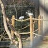 Images de profil de Alicia - Blooming Pets - Petsitting et garde d'animaux à domicile