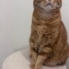 Images de profil de Emma - Blooming Pets - Petsitting et garde d'animaux à domicile