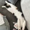 Images de profil de Manon - Blooming Pets - Petsitting et garde d'animaux à domicile