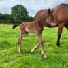 Images de profil de Manon - Blooming Pets - Petsitting et garde d'animaux à domicile