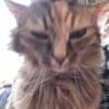 Images de profil de Magnolia - Blooming Pets - Petsitting et garde d'animaux à domicile