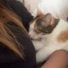 Images de profil de Helena - Blooming Pets - Petsitting et garde d'animaux à domicile