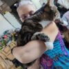 Images de profil de Elisabeta - Blooming Pets - Petsitting et garde d'animaux à domicile